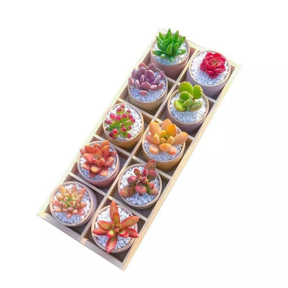 Multifunctional Succulent Flowerpot Tray Multi-grids Desktop Sundries Organizer Storage Box