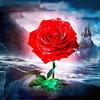 Полный 5D Diy Алмазная картина Мультфильм Цветок Роза Мозаика Вышивка Крестом Домашний Декор Ручной Работы