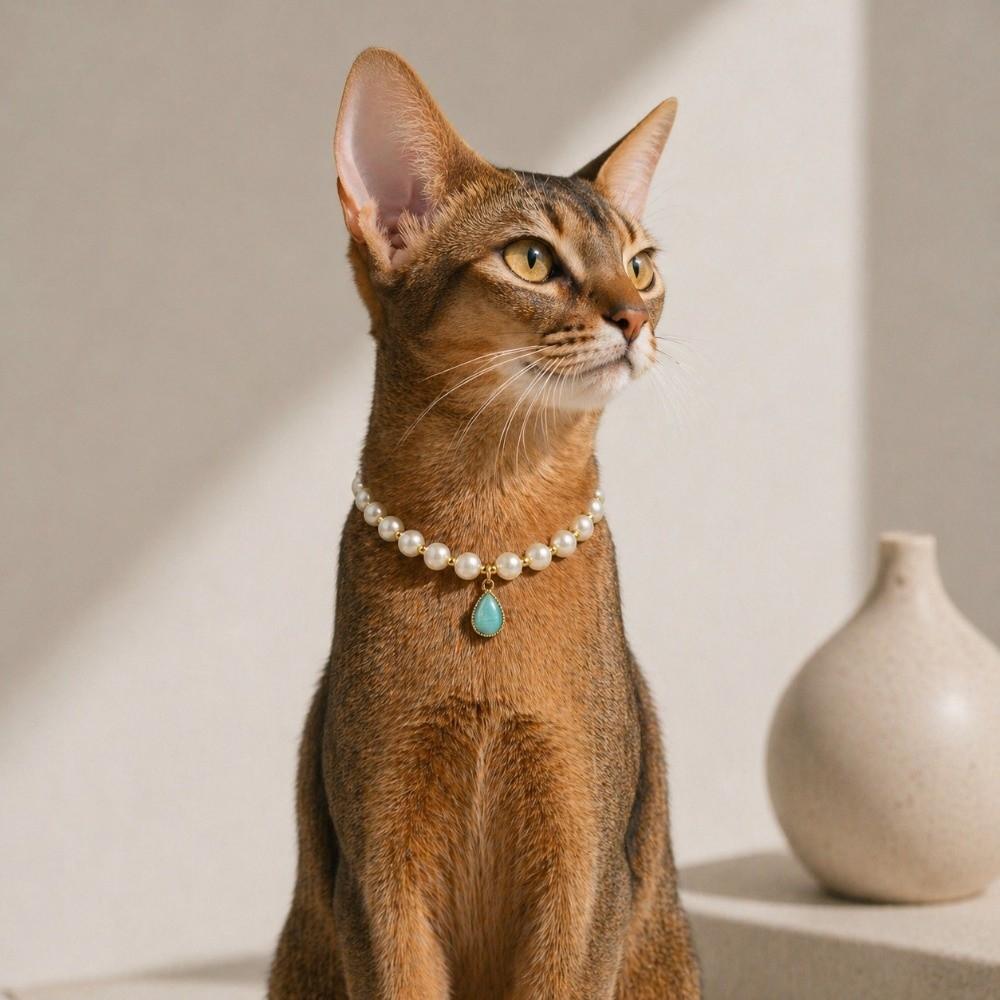 Water Droplet Pendant Dog Necklace Adjustable Cat Collar Pet Jewelry Cat Dog Choker Kitten