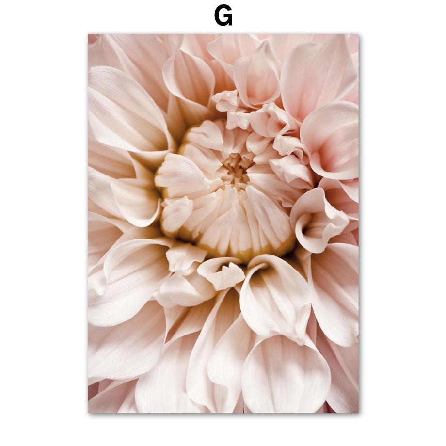 Воздушный шар цветок марокканский дверной фасад Монстера настенная живопись печать на холсте скандинавский плакат Декор фотографии для гостиной