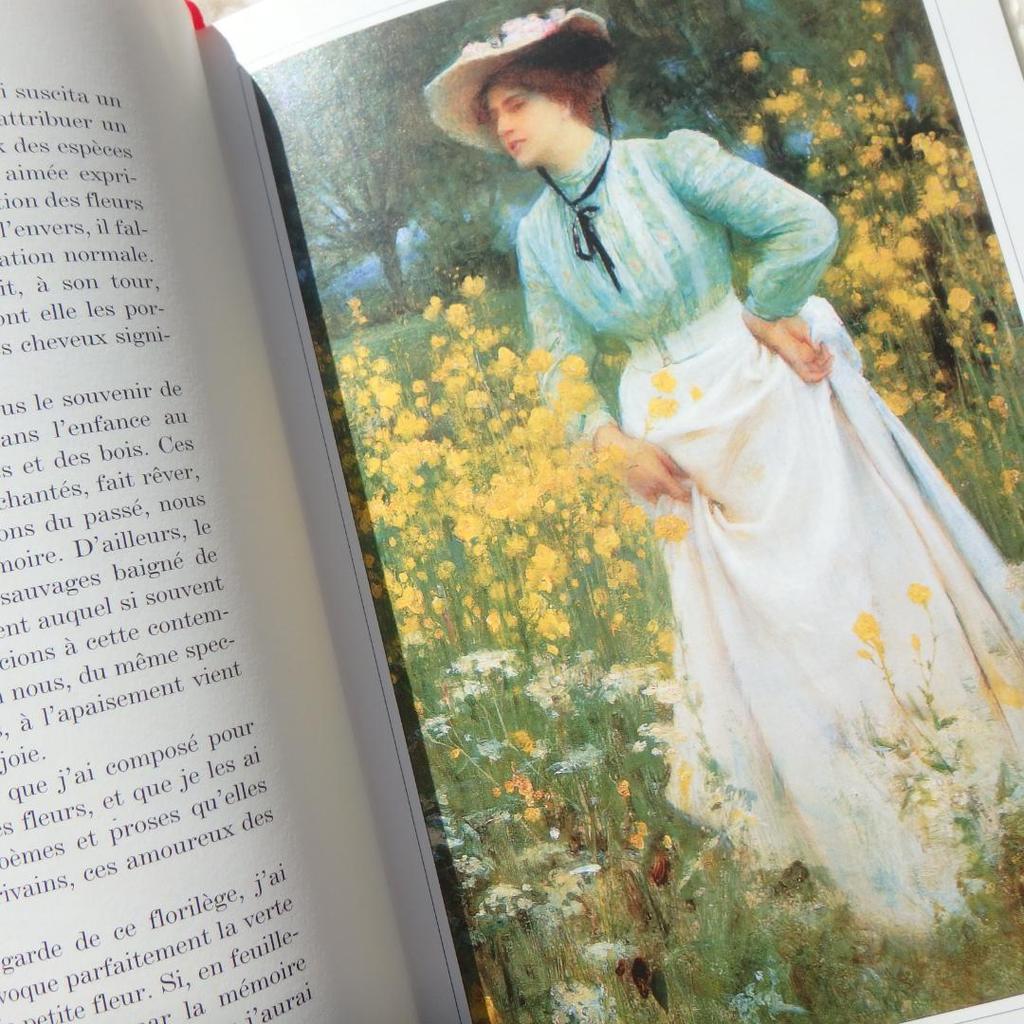 [Б/У] Язык Диких Цветов: Язык цветов на французском