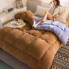 Одеяло Покрывало теплое зимнее одеяло из утолщенной овечьей шерсти зимнее одеяло двойное одеяло теплое одеяло студенческое общежитие одеяло двойное одеяло