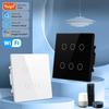Tuya WiFi Smart Switch Brazil 4x4 AC110-220V Touch Panel 4/6 Gang Light Switch APP Control Work with Alexa Google Home