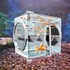 Transparent Fish Isolation Incubator Wall Mounted Fish Isolation Box Fish Egg Laying Room  Shrimp