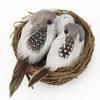 1Set Simulation Fake Bird Nest Nature Circle Bird Cage Set Gardening Decorations