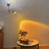 Напольная лампа Ripple Dual Sunset Light с двумя плафонами для фотосъемки и прямых трансляций.