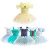 Girls 2025 Summer Ballet Dance Costume - One-Piece Princess Skirt