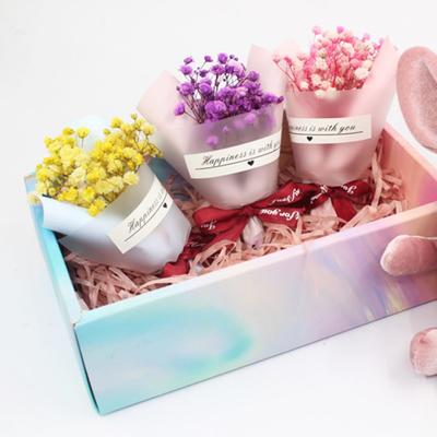 Прочная искусственная сушеная текстура букета цветов ясная легкая в обслуживании гипсофилы