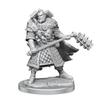 D&D Frameworks Miniature Model Kit (Human Fighter M)