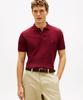 Поло с коротким рукавом TOMMY HILFIGER 1985 Regular Fit (T12G1Tkt060Mt2Vlp)