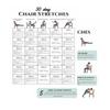 Chair Exercises For Seniors 30-Day 6 Pieces Fitness Cards Chair Yoga Book For Travel Morning Working Family Friends Sports