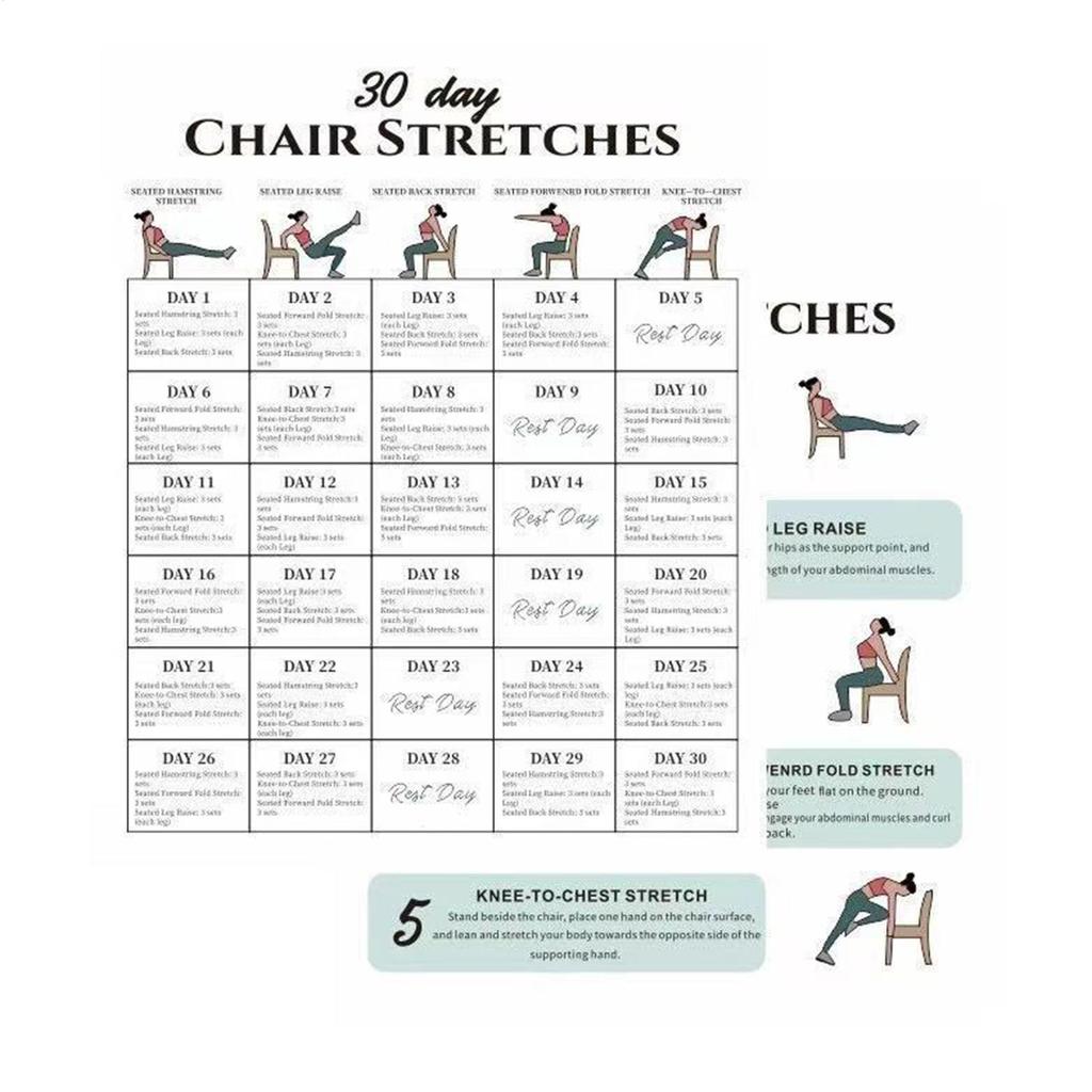Chair Exercises For Seniors 30-Day 6 Pieces Fitness Cards Chair Yoga Book For Travel Morning Working Family Friends Sports