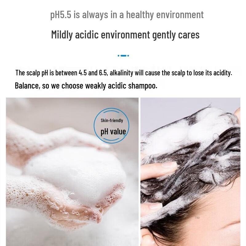 b2v Black Algae Frizz Repair Shampoo