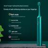 Byr G1 Sonic Electric Toothbrush CN plug (adapter included)