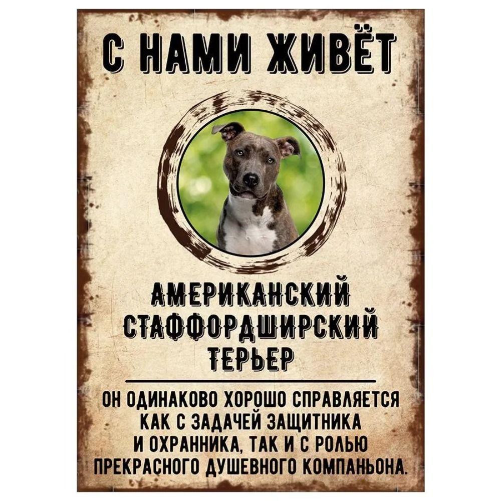 ОСТОРОЖНО СОБАКА Забавная Шнауцер Металлическая Табличка Декор для Питомца 20x30см