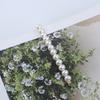 White Color Freshwater Pearl Hair Clip for Women