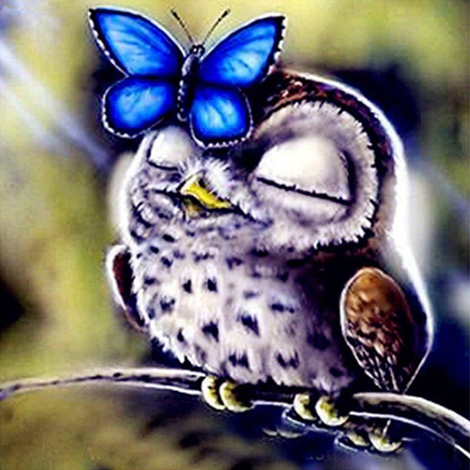 5D DIY алмазная живопись животное попугай Сова птица вышивка крестиком полная дрель Алмазная вышивка мозаика художественная картина Декор из страз