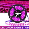 Светодиодный светильник для выращивания растений, полный спектр, светодиодная лента USB 5 В, светодиодные фитолампы для выращивания растений в теплицах на гидропонике