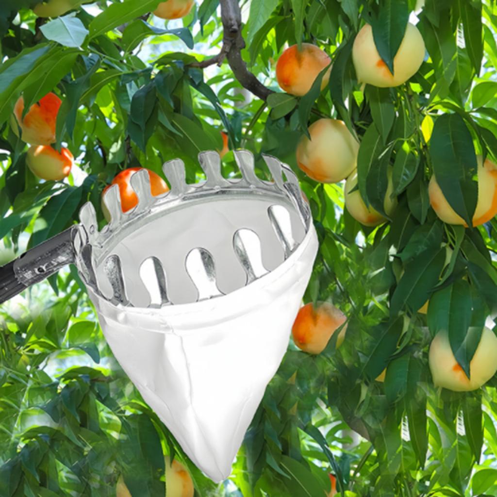 Машина для сбора фруктов, Устройство для сбора фруктов, Инструмент для сбора фруктов, Устройство для сбора фруктов на большой высоте, Сбор фруктов в саду