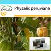 Gift Set - Cape Gooseberry / Peruvian Cherry - 100 Seeds - With Gift Box, Card, Label and Potting Substrate - Physalis Peruviana