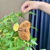 Горячая Распродажа Черепаха и Клубника Шляпа Кепка Капибара Плюшевая Кукла Брелок Украшение для Рюкзака