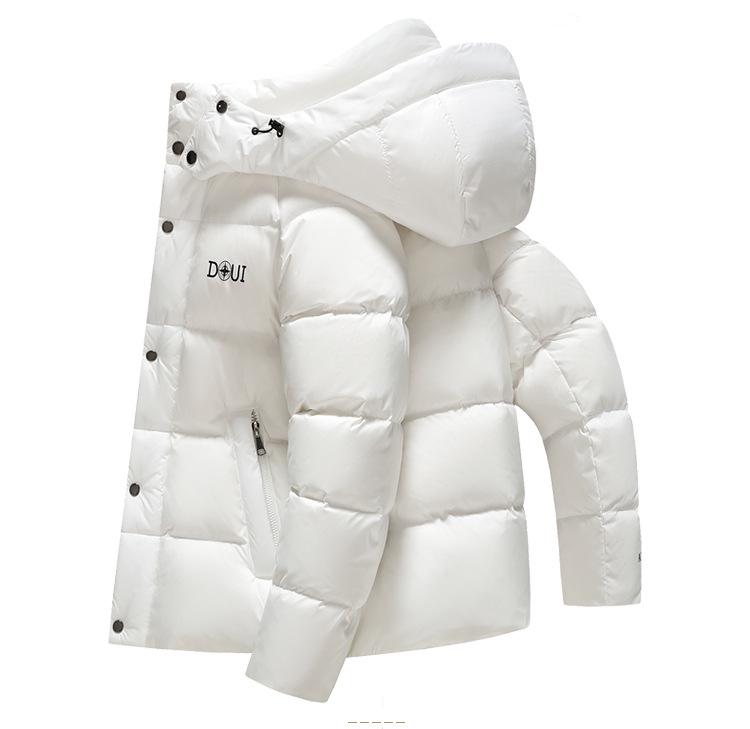2025 Winter Men's Hooded Down Jacket - Korean Style, Warm, Stand Collar, White Duck Down for Middle-Aged & Young
