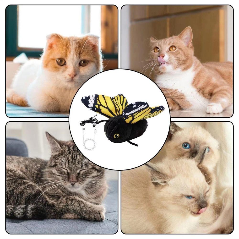 Multiple Modes Butterfly Cat Teaser Hanging Elastic String Feline Toy Kittens