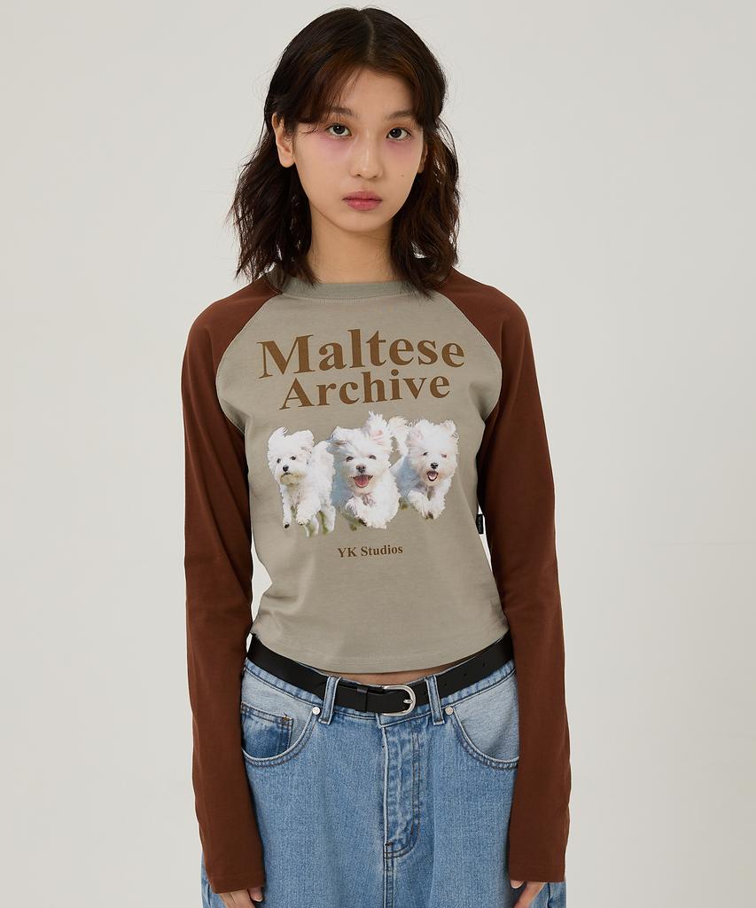 WAIKEI Maltese Archive Raglan Long Sleeve T-Shirt Mint
