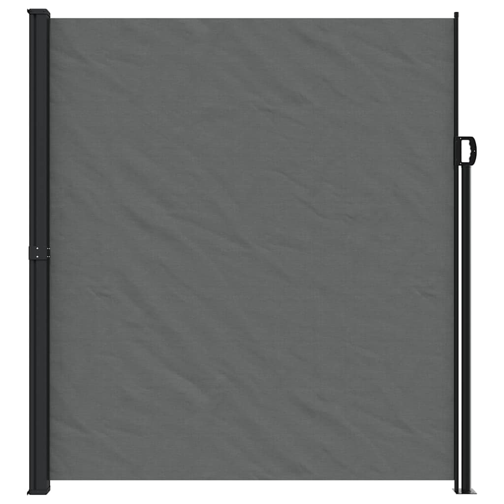 Retractable Side Awning Anthracite 220 x 300 cm