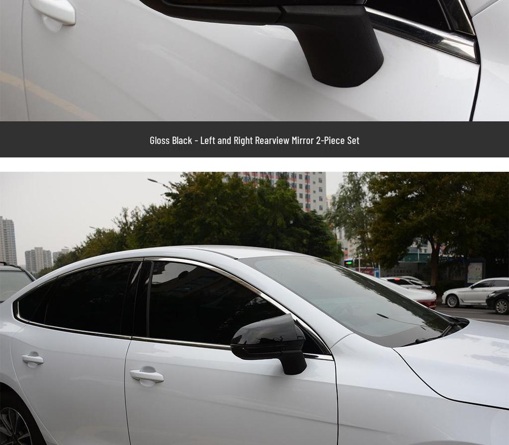 Защитная крышка зеркала заднего вида BYD Seal 05dmi
