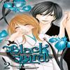 Black Bird Vol. 2 by Kanoko Sakurakouji Paperback Book 9781421527659