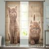 Современные шторы с милыми домашними животными и котами для гостиной, прозрачные тюлевые шторы, прозрачные оконные занавески для спальни, аксессуары, декор