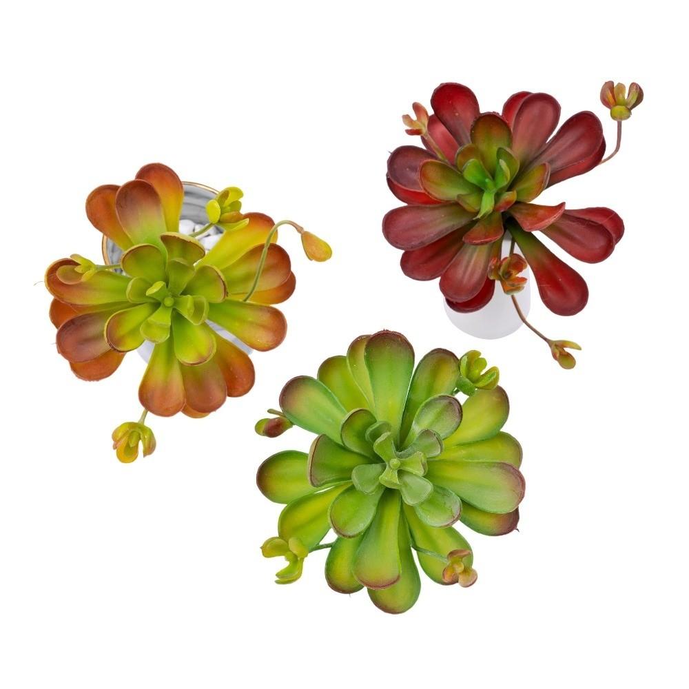 Fleshy Artificial Succulent Plant Lifelike Real Touch Fake Cactus Plastic Realistic Simulation Bonsai Plant Balcony Decoration