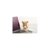 Мини-плюшевая игрушка San-X Rilakkuma H140 x Ш105 x Г60 мм Мягкая и приятная на ощупь мягкая игрушка