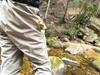 Двухцветный колокольчик для медведя River Peak