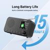 Portable DAB/FM Radio Bluetooth Speaker Support TF Card/USB/Headphone Play