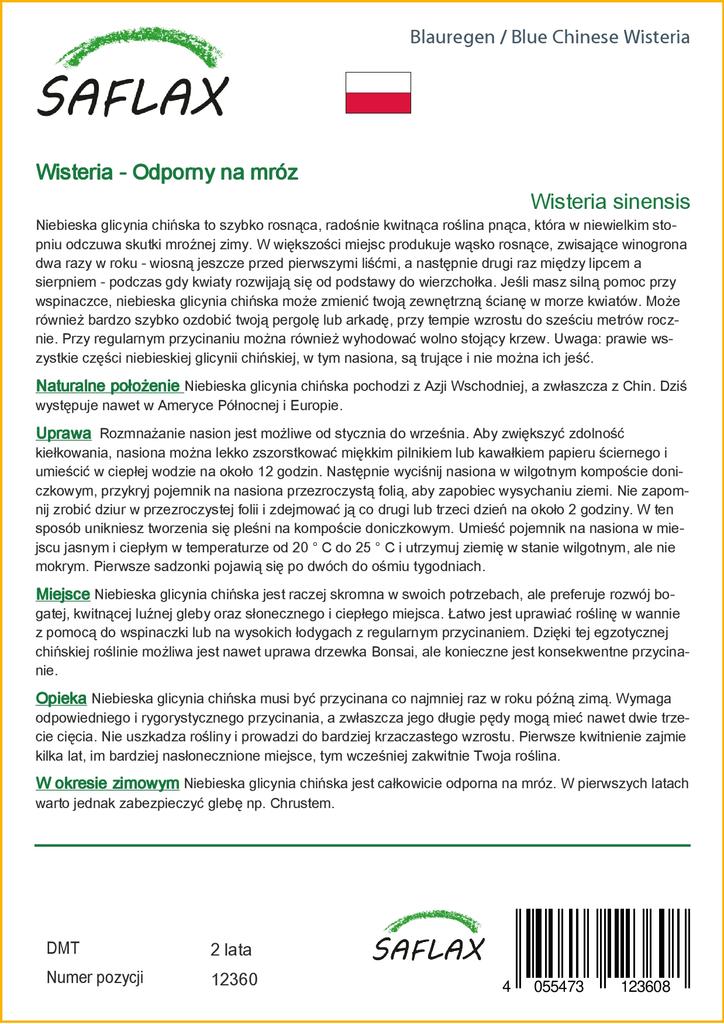 SAFLAX Глициния китайская голубая - 4 семени - Wisteria sinensis