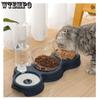 Pet Cat Bowl Automatic Feeder Dog Cat Food Bowl Container Drinking Raised Stand Dish Bowl Pet Waterer Feeder Pet Supplies