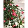 2 шт. искусственные подвесные цветы розы шелковая цветочная гирлянда плющ зелень искусственная цветочная лоза с ветками для стены дома комнаты сада свадебного украшения арки