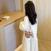 Plush hand-held cute leopard print women's bag winter new children's fun cute shoulder messenger bag plush bag