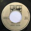 7-дюймовая пластинка STARKEY BANTON Lover A Dread OFB04 Ozone Friendly Регги Ска Даб Б/у