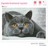 5d Diy Алмазная картина Новая коллекция Кошка Вышивка Мозаика Русская Голубая Животное Квадрат/круглый Домашний Декор