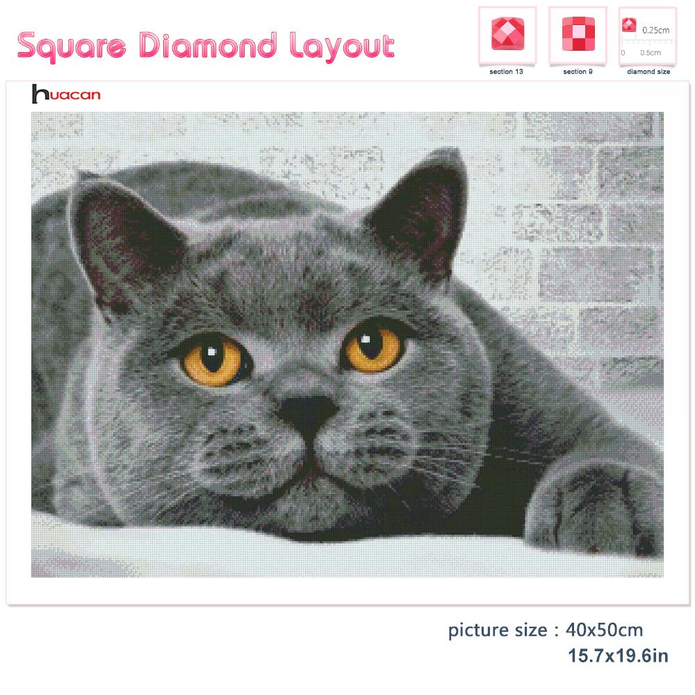 5d Diy Алмазная картина Новая коллекция Кошка Вышивка Мозаика Русская Голубая Животное Квадрат/круглый Домашний Декор
