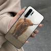 Шотландские коровы Для Huawei Nova 11i 8i 7i 3i Nova 9 10 SE 5T Y60 Y70 Y90 Y91 Y61 P20 P30 P40 Lite Pro Чехол