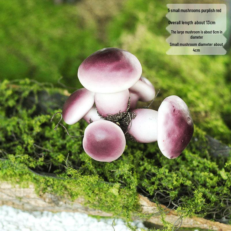 Artificial Moss Turf Carpet for Indoor & Outdoor Decoration