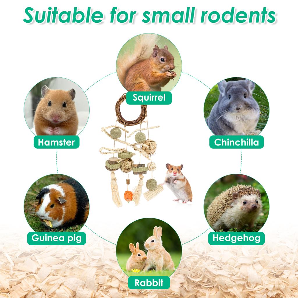 2Pcs Hamster Chew Toys Hanging Natural Wood Small Animal Teeth Grinding Cage Rabbit Chinchilla Guinea Pig Pet Toys