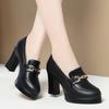 Fashion Spring High Heels Loafers Women British Style Pointed Chunky Heels Pumps Zapatos Para Mujer Ladies Slip On Elegant Dress Shoes
