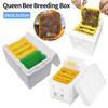 Queen Bee Breeding Box Foam Bee Box Pollination Box Queen Bee Rearing Beehive Beekeeping Equipment for Bee Mating Rearing