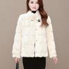 Imitation Mink Velvet Coat Women's Short Thickened Small Coat Imitation Danish Mink Autumn and Winter New