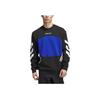 adidas Толстовка Originals Premiere FW24 с круглым вырезом в стиле уличного скейтбординга, хлопковая, с длинным рукавом, американская винтажная толстовка с капюшоном, унисекс, IY1613